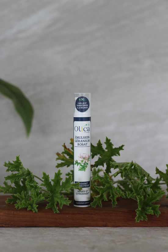 Une émulsion de géranium rosat et sa plante en arrière plan