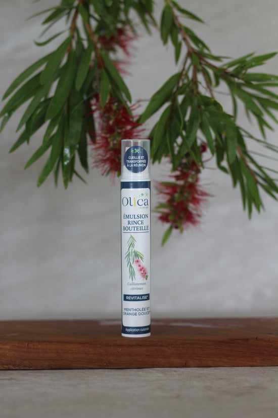 Une émulsion de rince bouteille et sa plante en arrière plan