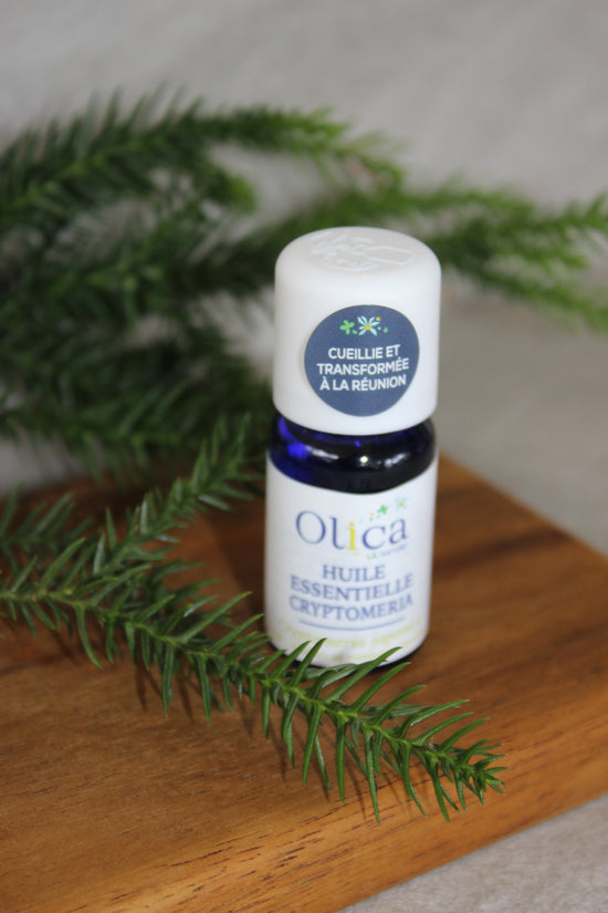 Huile essentielle de Cryptomeria - 10 mL