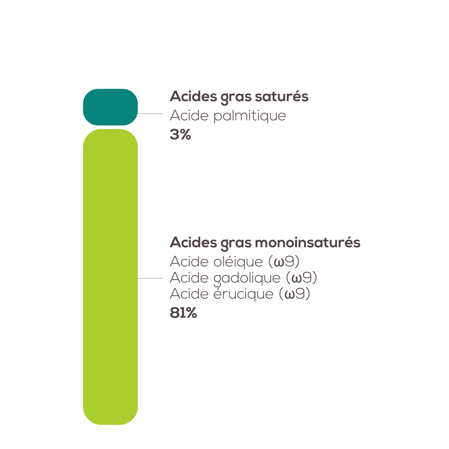 Composition chimique du Jojoba