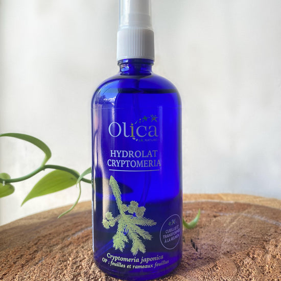 Hydrolat de Cryptomeria - 150 mL