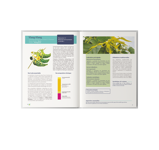 Extrait du livret Olica sur les plantes de La Réunion