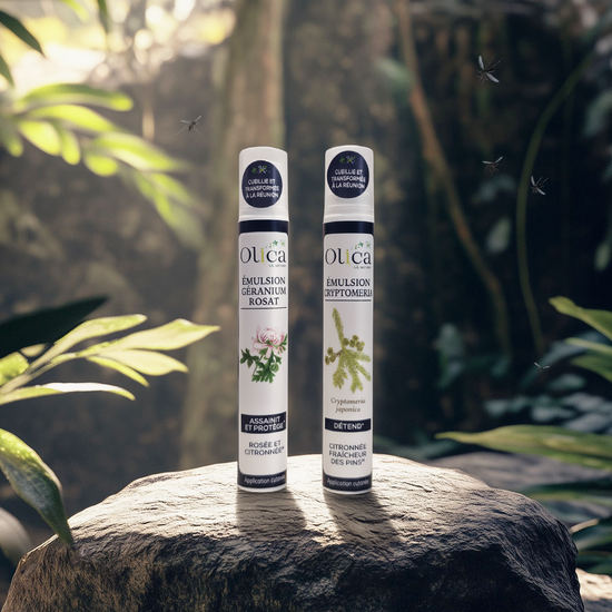 Les Essentiels Réunion