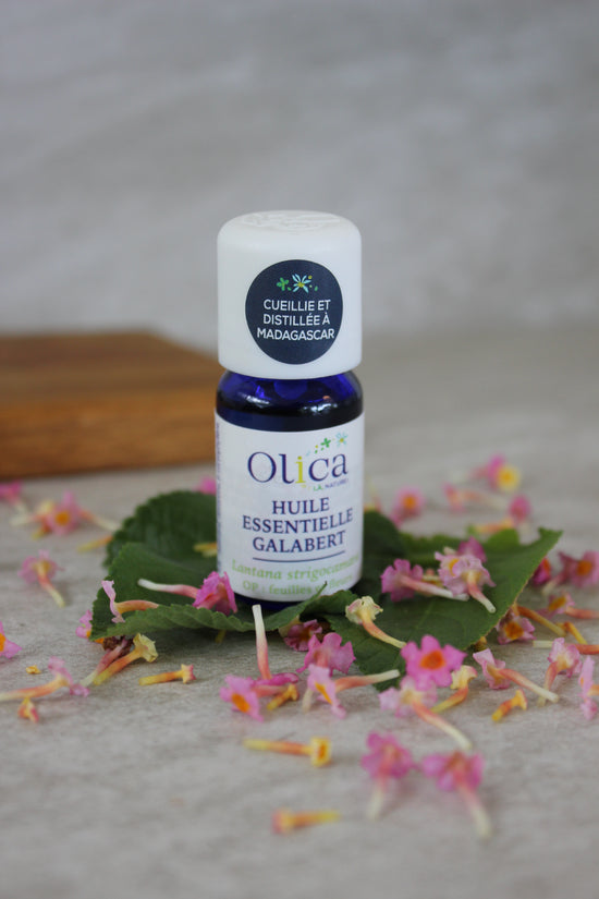 Huile essentielle de Lantana - 10 mL
