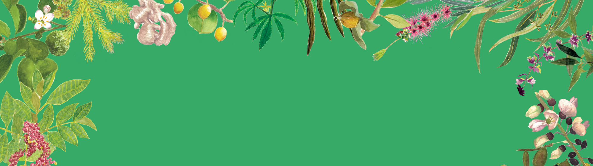 Découvrez notre sélection de